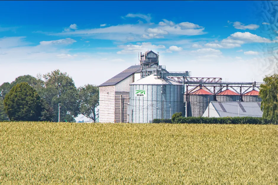 dépôt scam avec champ de blé devant