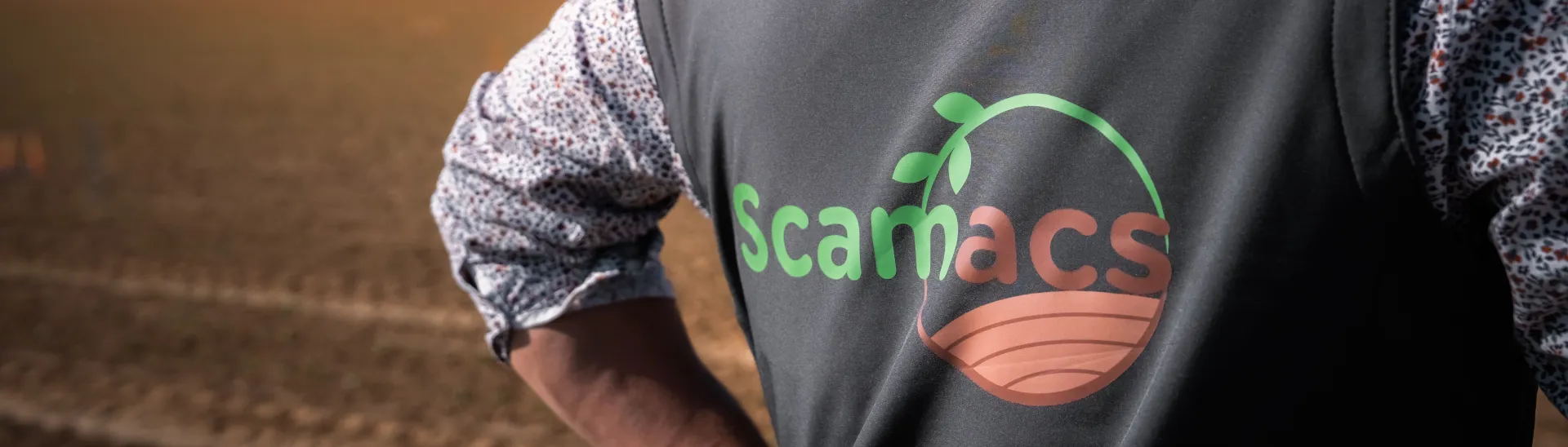 agriculture de conservation des sols 