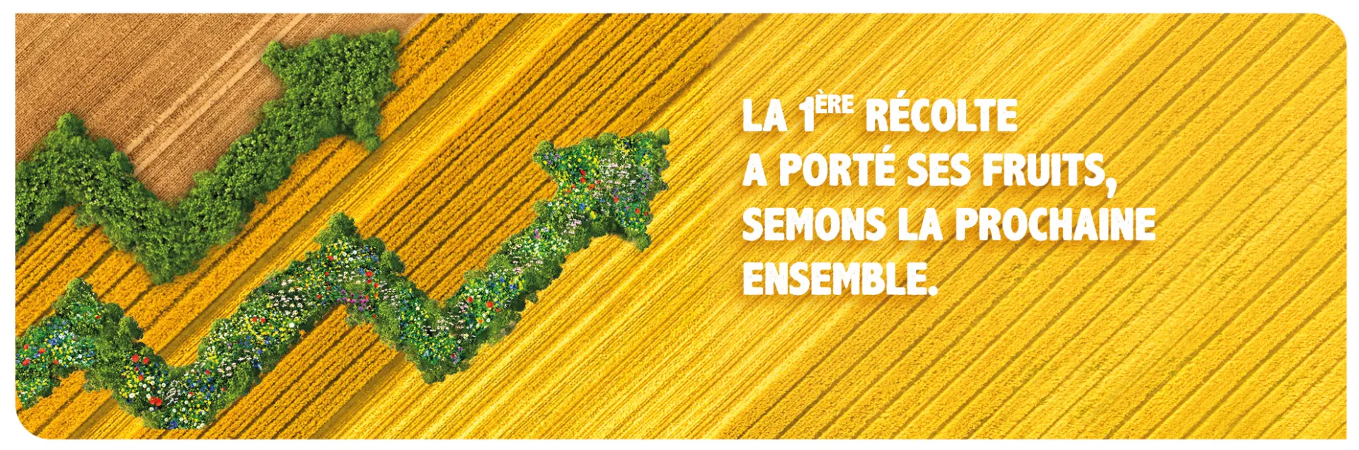 Visuel champ et deux fl&ecirc;ches en haies repr&eacute;sentant le lancement de la seconde Lev&eacute;e de Fonds