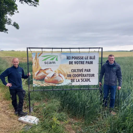 B&acirc;che pour la campagne du bl&eacute; panifiable