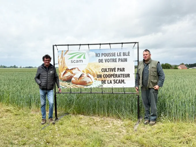 B&acirc;che pour la campagne du bl&eacute; panifiable