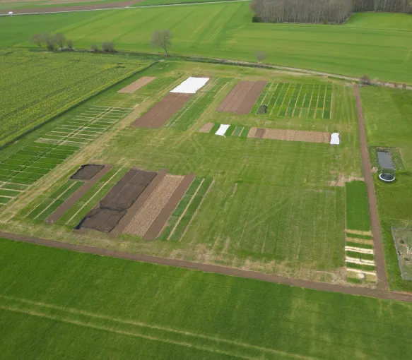 photo de la plateforme d'essais a Grand Leez