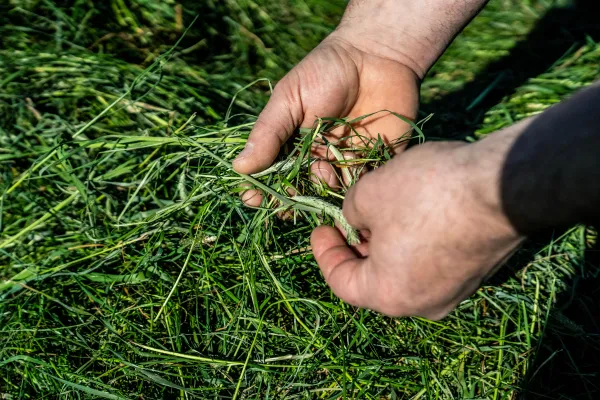 la-scam-metier-protection-des-plantes-8