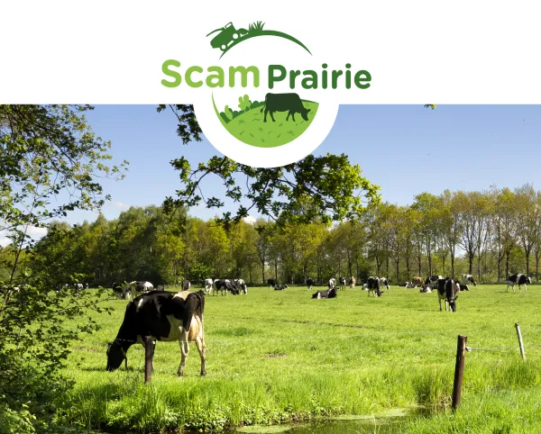 champ-vaches-laitiere-scam-prairie-logo