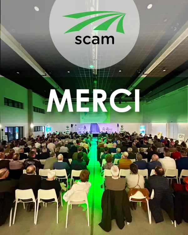 merci.jpg