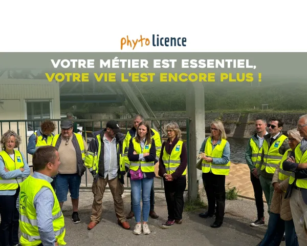 vignette-scam-safety-sans-logo-safety.jpg